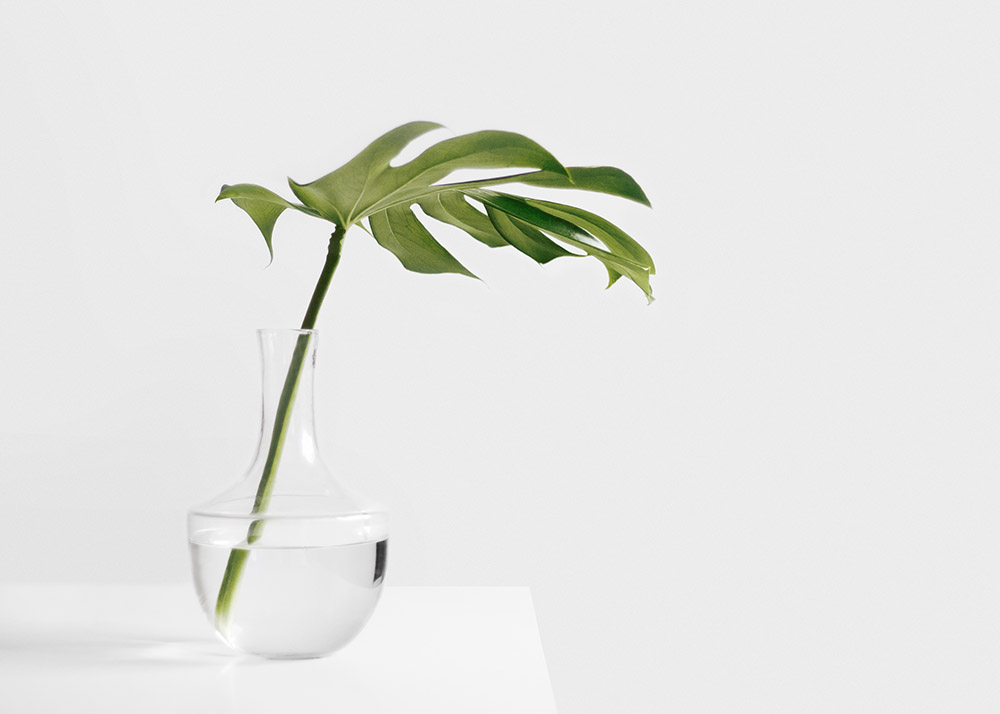 Hidup Lebih Nyaman Melalui Kebiasaan yang Tidak Berlebihan